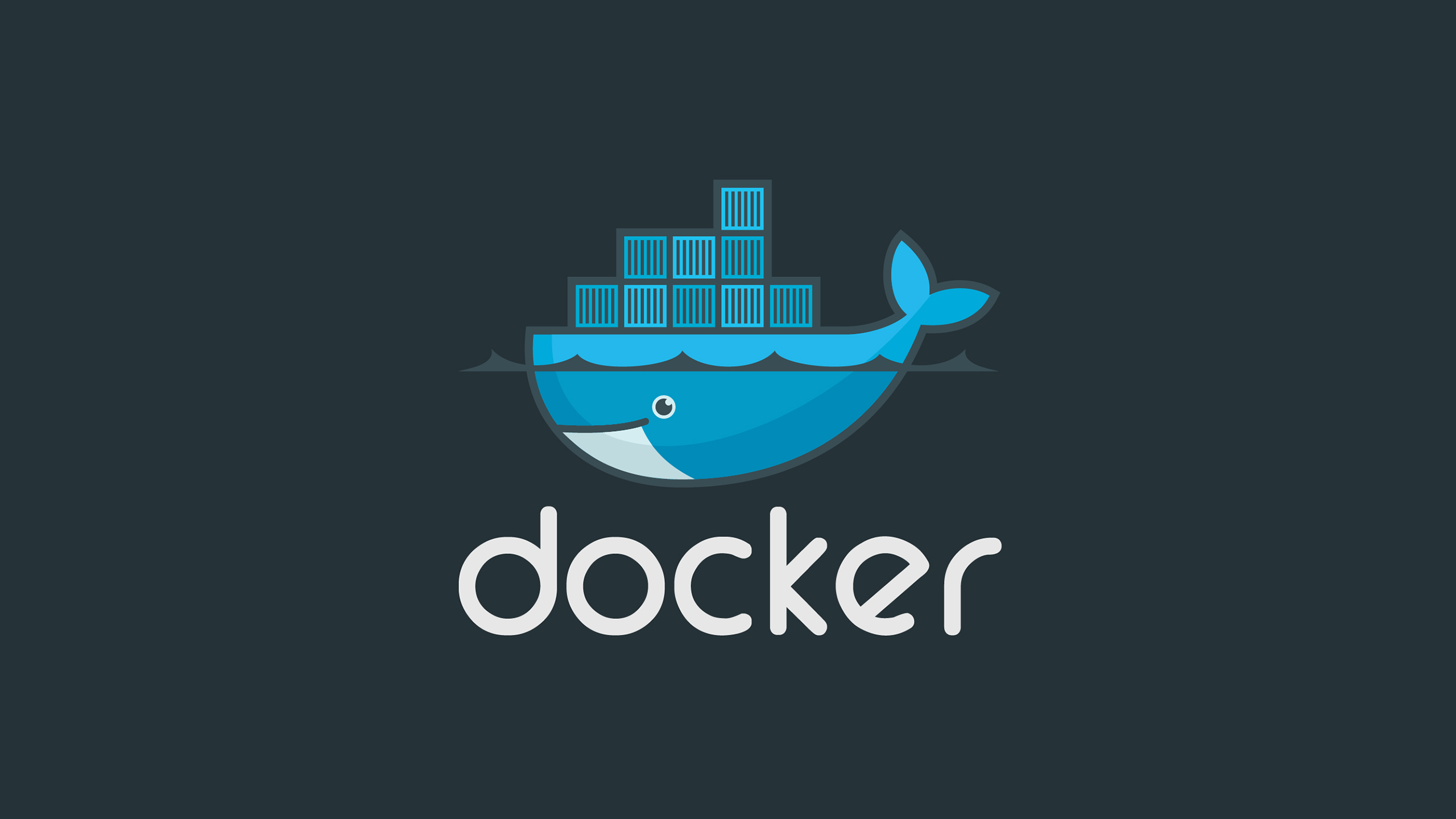 Docker基础用法